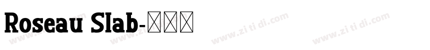 Roseau Slab字体转换